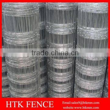 HTK Best Price Hot Dipped Galvanized Woven Wire Grassland Fence photo-4