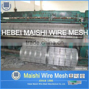 Welded Wire Fencing photo-5