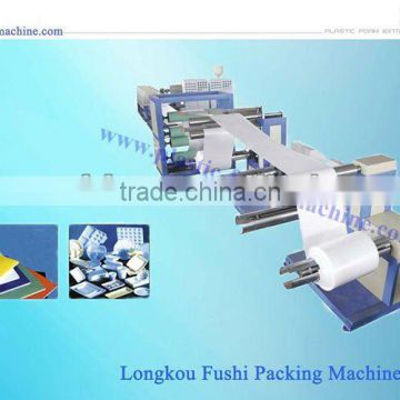 Hot Sale EPS Sheet Extrusion Line(FS-FPP105/120)