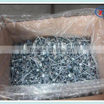 China Galvanized Umbrella Head Roofing Nails With Smooth/twist Shank photo-6