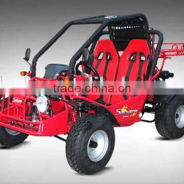 EEC 150cc/250cc buggy