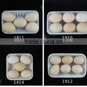PP Food Grade Plastic Tray for Fresh Vegetable Packaging Wholesale photo-3