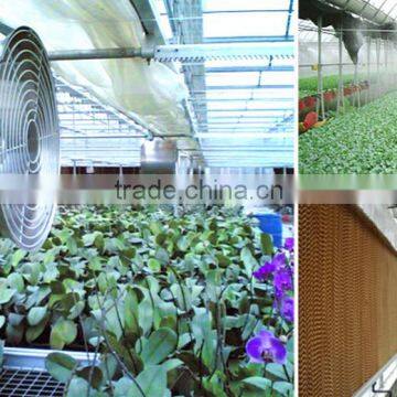 Metal Pipe Greenhouse Tunnel photo-4