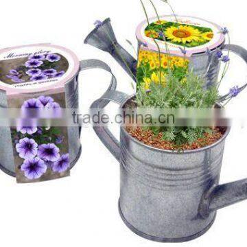 Wholesale Mini Kids Metal Watering Can photo-3