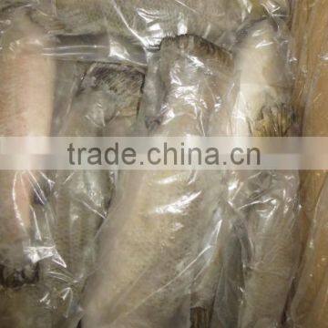 Frozen Sea Bass photo-5