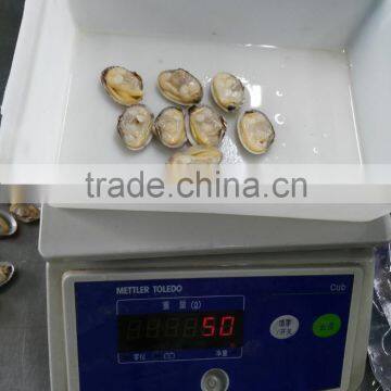 Frozen Whole Cleaned Sea Food Baby Clam With Shell photo-2