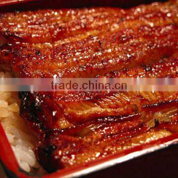 Frozen Prepared Eel (Unagi) Fillet