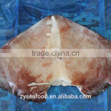 2017 New Arrived Frozen Vietnam Squid With Best Price photo-2