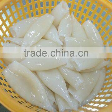 HACCP,QS Certification Frozen Illex Squid Tube photo-2