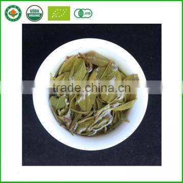 Extract Aged Puer Tea Raw Pu'er Tea! Puer Slim Tea photo-2