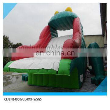 Inflatable Water Slide Pool Above Ground Pool Water Slide photo-3