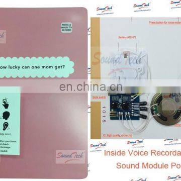 Recordable Programmable Sound Chip for Greeting Card photo-4