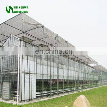2019 China Cheap Hydroponics Greenhouse for Tomatoes Glass Greenhouse