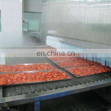 Deep Freezer Machine Individual Quick Freezing Equipment Frozen Fruit Machine photo-4