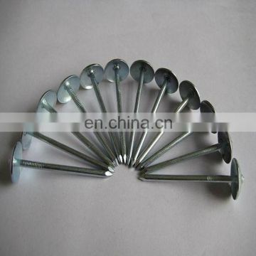 Galvanized foof nail umbrella head Zinc corrugated roofing nail