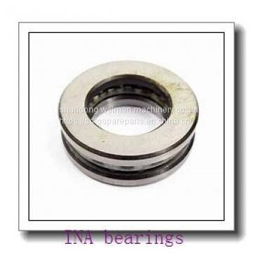 INA Bearings