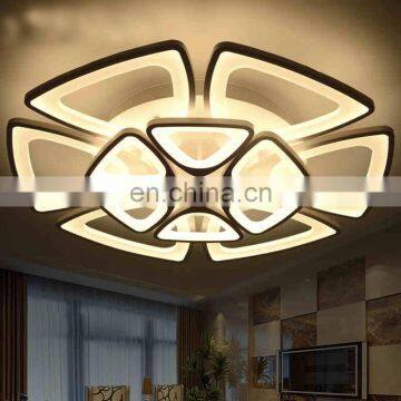 Modern Led Ceiling Lights Remote Control Living Room Ceiling Lamps Creative Bedroom Restaurant Circular Lamps photo-6