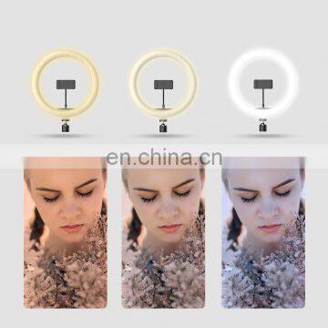 Cross-border Live Fill Light Amazon Desktop 10 Inch Ring Light 26 cm Tripod Bracket Beauty Fill Light photo-2
