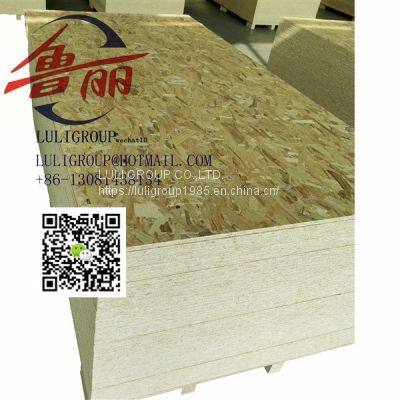 Luligroup Osb3 photo-3