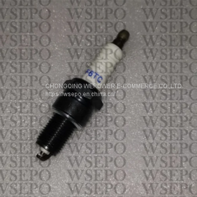 Small Gasoline Engine High Quality Spark Plug Model F6tc Fits for High Requirement