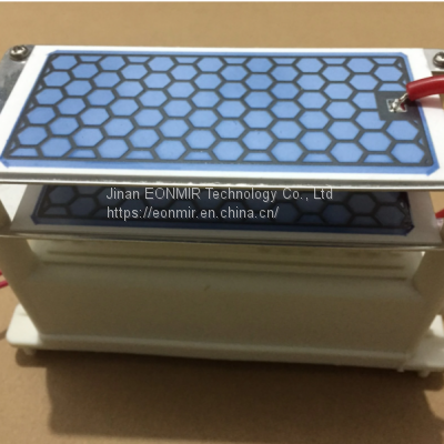 220V 10g/H Ozone Generator Used for Killing Virus