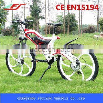 Hot Sale Cheap 250w Belectric Dirt Bike Sale photo-4