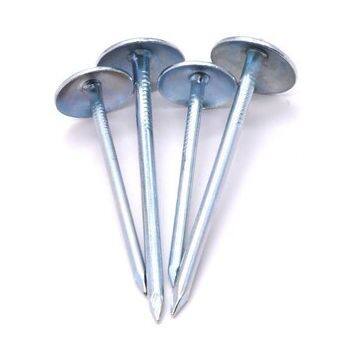 Galvanized Umbrella Nails - Various Sizes With OEM and Bulk Order Options photo-2