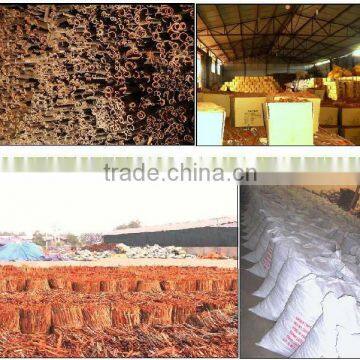 Split Cassia/ Broken Cassia/ Cassia Stick