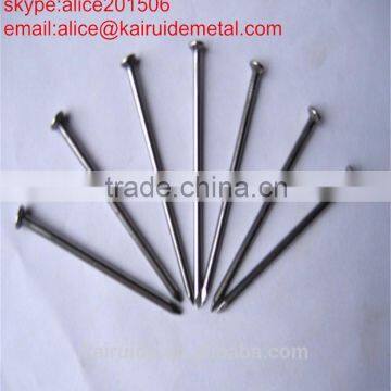 High Quality Factory Produce Common Iron Nail With Low Price From Hebei Common Wire Nail Factory photo-6