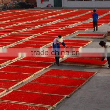 2015 100% Organic and GMO Free Superfruit Dried Goji Berry From Ningxia