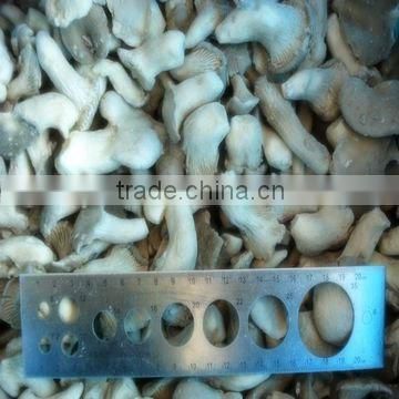 Frozen baby oyster mushroom