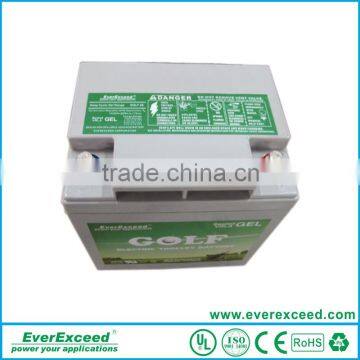 EverExceed Golf Cart Battery2016 Hot Sale High Quality Valve Regulated Lead Acid Battery