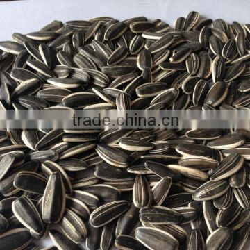 Bulk Bird Seed Suppliers Wholesale Bird Seed Sunflower Seed Market Price