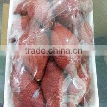 Organic Fresh Zalacca Fruit photo-2