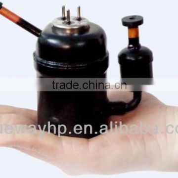 Multifunctional mini brushless DC Compressor