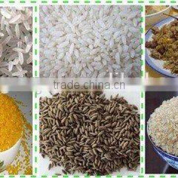 Organic Instant Porridge Machine/Nutritional Rice Processing Line