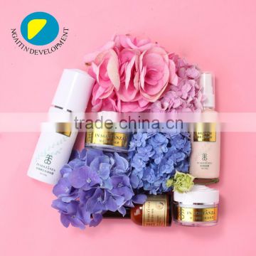 ODM Set Big Effect Anti Aging Wrinkle Face Skin Care Series