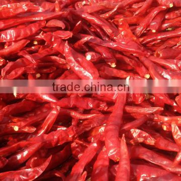 Teja Red Chilli