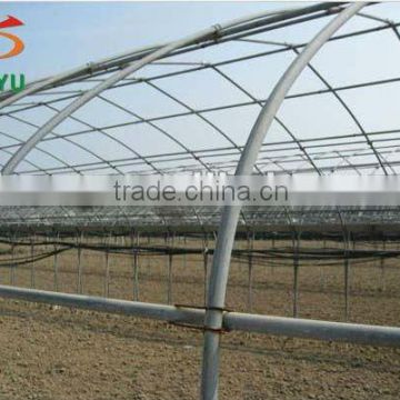 8M single span high tunnel greenhouse