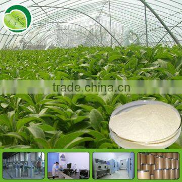 100% Natural RA 40%~98% Stevia extract