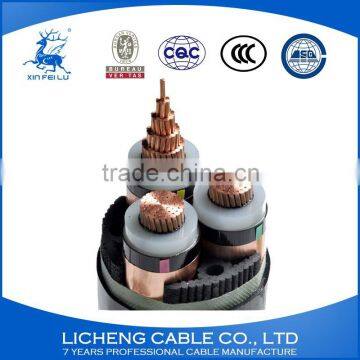 Hot Sale Copper Core XLPE Insulated PVC Sheathed Steel-tape Armored Power Cable photo-4