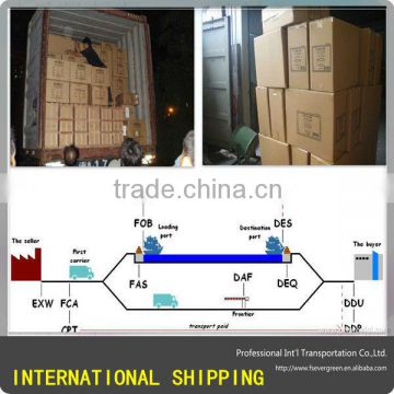 shenzhen logistics companies ,foshan ,guangzhu ,shenzhen shipping with warehouse