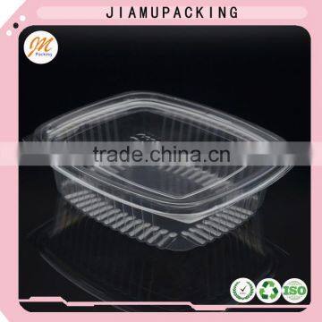 Hot Selling Disposable Clear Plastic Fruit Container