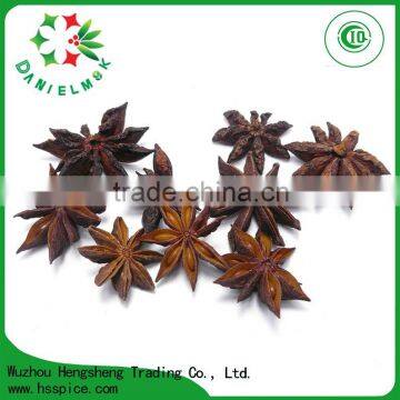 Hot Selling Dry Whole Star Aniseed for Cooking Spice