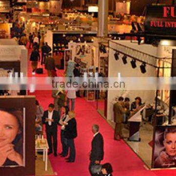 Professional Laser Hair Home Removal Machine/808nm Laser Diode Female photo-5