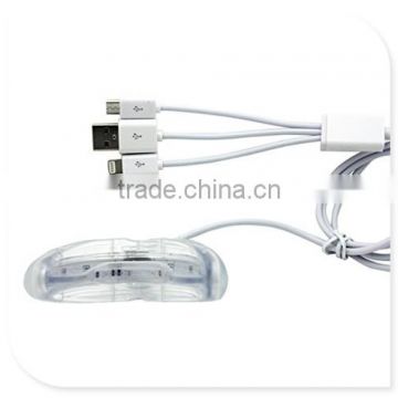 Teeth Whitening System with Special USB Powered Laser Tray, Gentle Brush Applicator Pens Suit for iPhone, Android, or USB