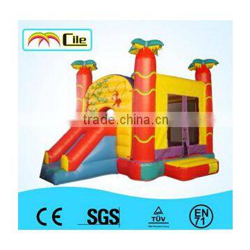 2016 New design inflatable castle,inflatable slide for games