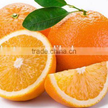 100% Natural Citrus Hesperidin photo-3