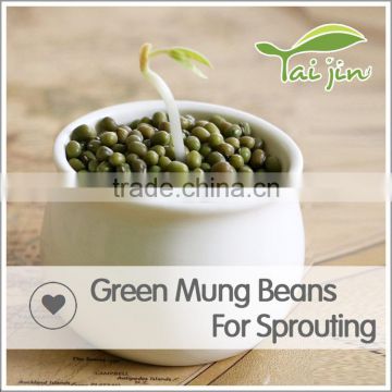 China Origin Green Mung Beans For Package