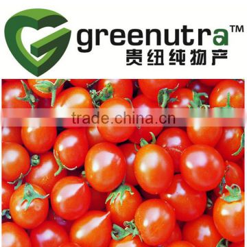 tomato lycopene